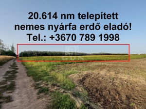 出卖 农业区域 Hajdúnánás, 20617m2