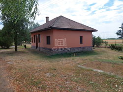 Polgár Tanya