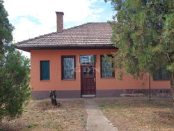 Polgár Tanya