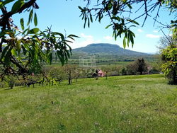 Kisapáti Nyaraló