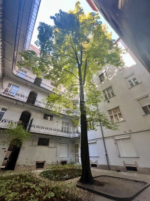 Eladó lakás (téglaépítésű) Budapest VI. kerület, 42m2