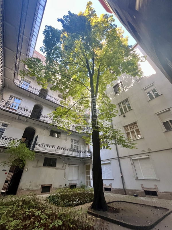 Budapest, VI. kerület  - 74.000.000 HUF