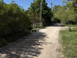 Dunaharaszti Telek