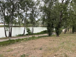 Dunaharaszti Telek
