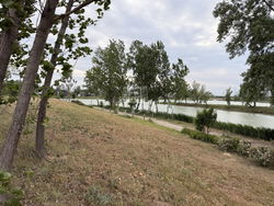 Dunaharaszti Telek