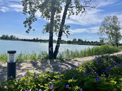 Dunaharaszti Telek