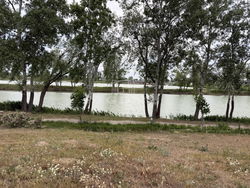 Dunaharaszti Telek