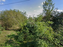 Bucsa Telek