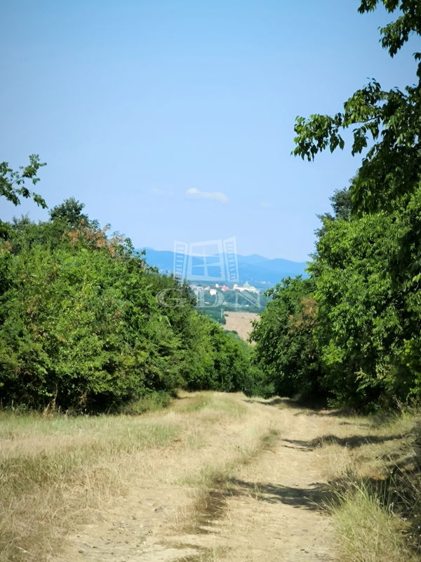 Vác Mezőgazdasági terület - 1.800.000 Ft