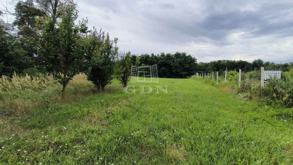 Belezna Building lot - 3.300.000 HUF