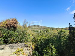Pomáz Telek