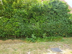 Budapest II. kerület Iroda