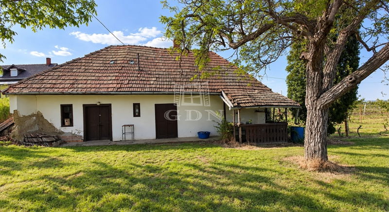 Eladó Siójut Mezőgazdasági terület