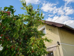 Siófok Частный дом