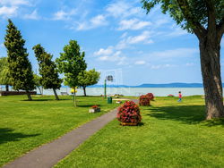 Balatonszemes Коммерческая - Общественное питание