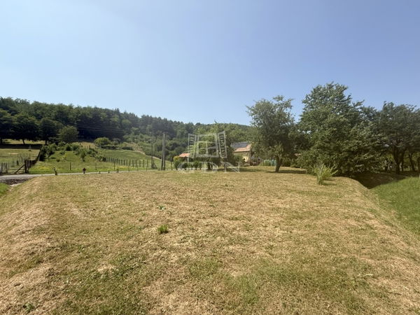 Böde Telek - 2.900.000 Ft