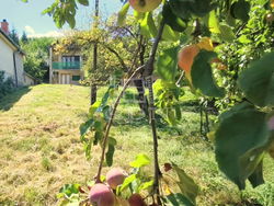 Zalaegerszeg Nyaraló