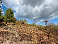 Budaörs Telek