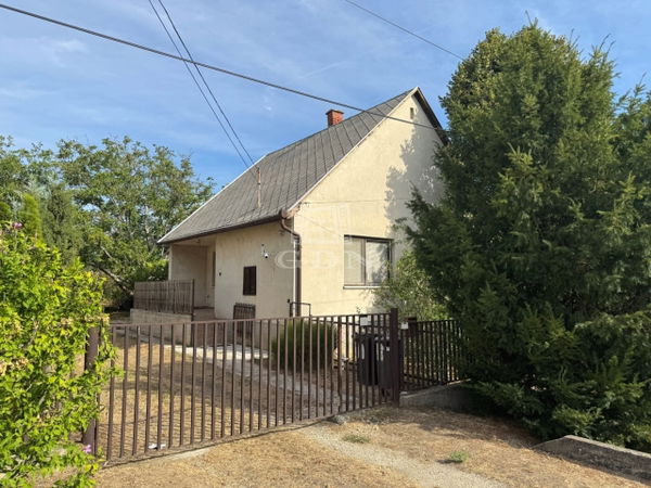 Sárszentmihály Einfamilienhaus - 58.500.000 HUF