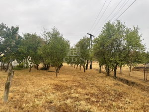 Eladó telek Sárszentmihály, 1540m2