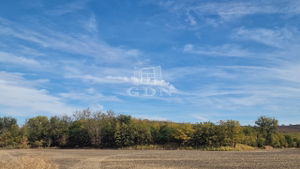 Eladó mezőgazdasági terület Petőfibánya, 31652m2