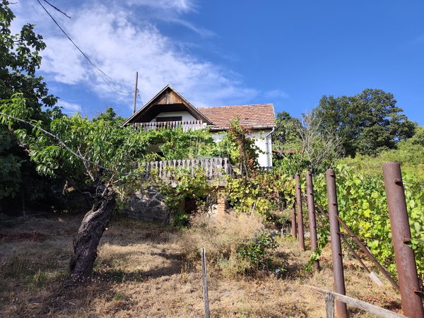 Komló Zona agricola - 7.500.000 HUF