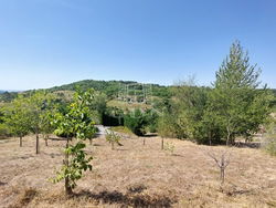Pécsely Mezőgazdasági terület