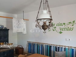 Dörgicse Telek
