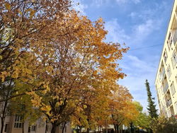 Veszprém Квартира (кирпичная)