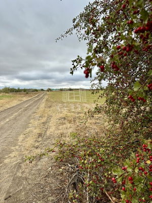 Eladó telek Sóskút, 1100m2