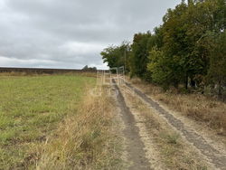 Sóskút Telek