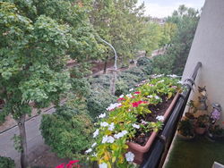 Kecskemét Квартира (кирпичная)