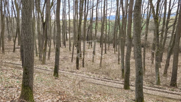 Borsosberény Zona agricola - 4.990.000 HUF