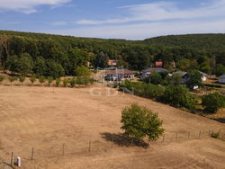 Kosd Telek