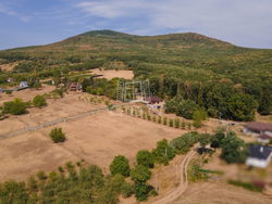 Kosd Telek