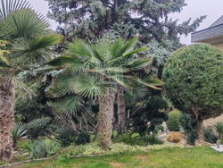 Érd Family House