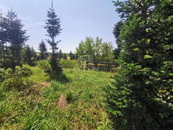 Nagykutas Telek